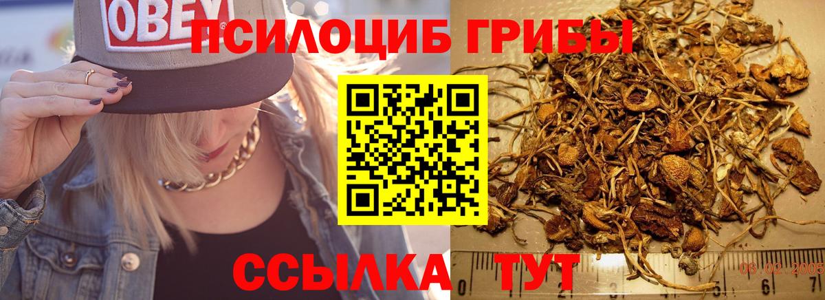 Псилоцибиновые грибы прущие грибы Павлово