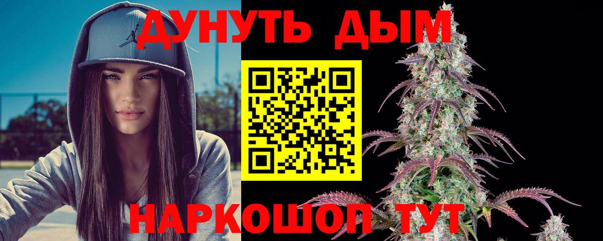 Каннабис планчик Павлово